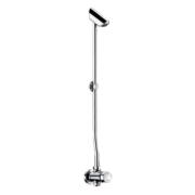 Temposoft 2 ensemble de douche apparent - Delabie