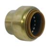 Bouchon tectite femelle T301 - Comap