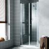 Atea porte 2 battants - Argent Poli - Verre Clair Rothacean - Roth