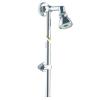 Bras douche orientable - Presto